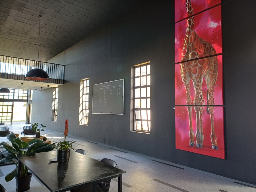 0 Bedroom Property for Sale in Shelley Point Western Cape